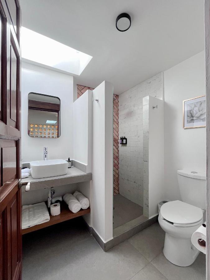 Mi Zona Coyoacan Vakantiehuis